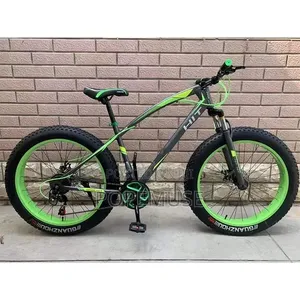 21 Speed Fat Tyre Bike