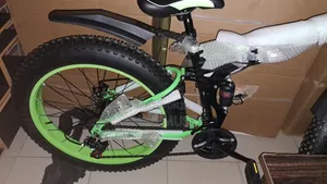 21 Speed Fat Tyre Bike