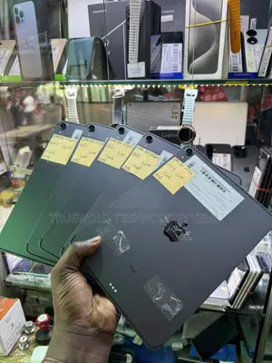 Apple iPad Pro 256 GB Gray