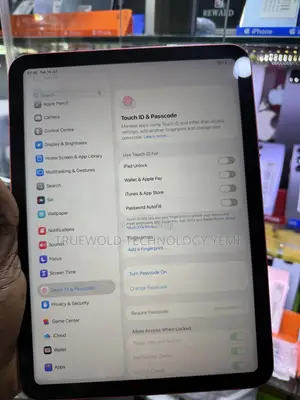 Apple iPad Pro 256 GB Gray