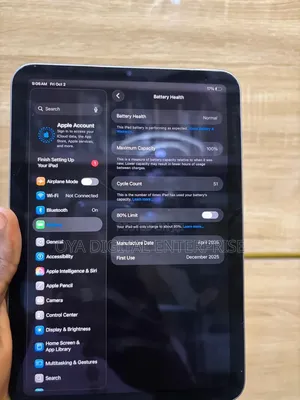 Apple iPad mini 7 128 GB Gray