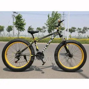 21 Gear Fat Tyre Bike