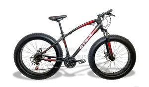 Fat Tyre Bike 21Speed With Shock Absorber