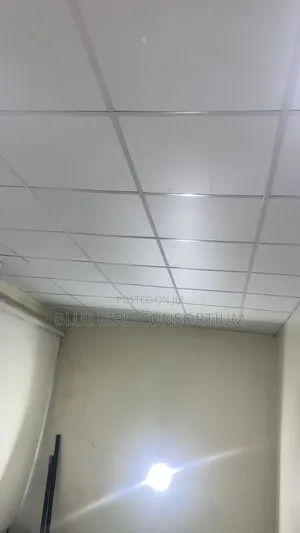 Suspended Ceiling