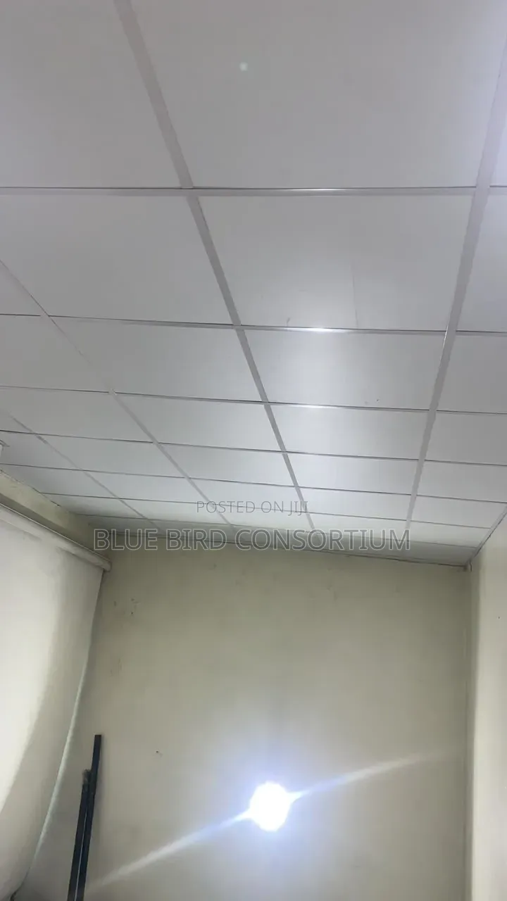 Suspended Ceiling