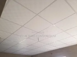 Suspended Ceiling