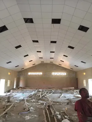 Suspended Ceiling