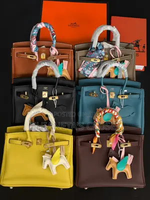 Luxury Hermes Birkin 25 Togo Leather Bag
