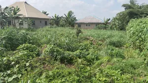 A Plot of Land(60x120) at Royal Estate, Off Imafon, Igbatoro Rd, Akure