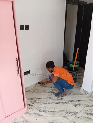 Professional Post Construction Services