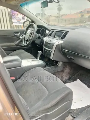 Nissan Murano 2009 Gray