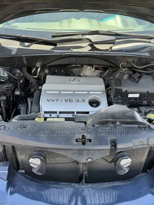 Lexus RX 350 AWD 2008 Gray