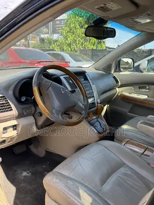Lexus RX 350 AWD 2008 Gray