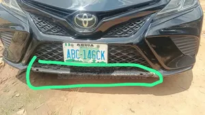 Camry 2018 2019 Down Plastic / Chrome