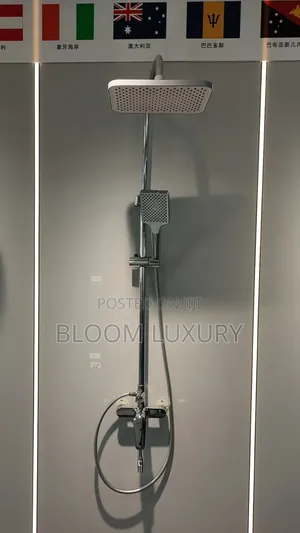 Chrome and Black Surface Bathroom Shower
