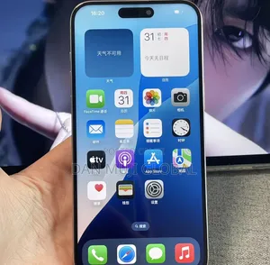 Apple iPhone 15 Pro Max 256 GB Silver
