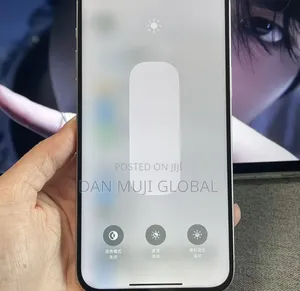 Apple iPhone 15 Pro Max 256 GB Silver