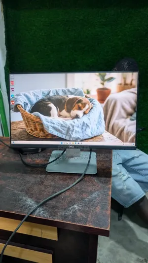24" Dell P2419H Frameless Monitor