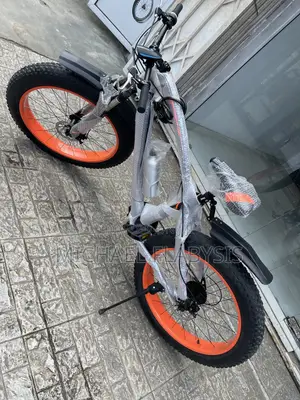 Mountain Convertible Power Bicycle