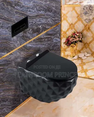 Executive Box Black Conceal Water Closet