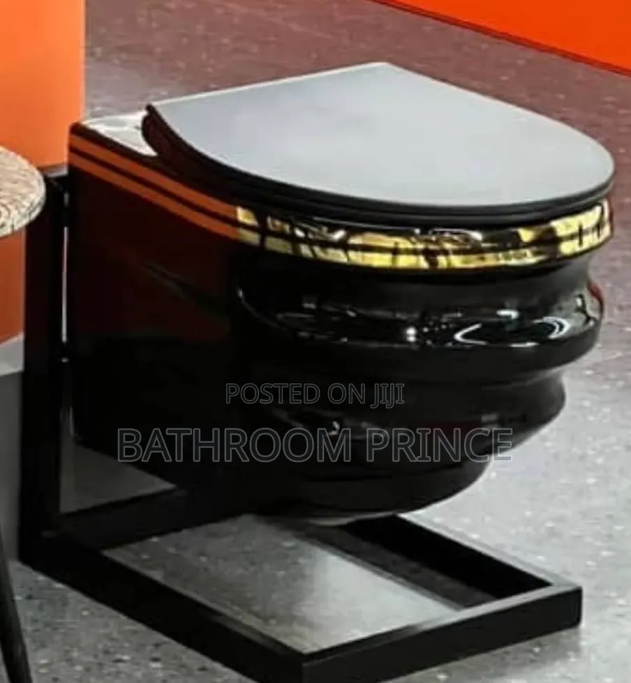 Black With Gold Line Conceal Water Closet
