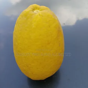 Hybrid Lemon Orange