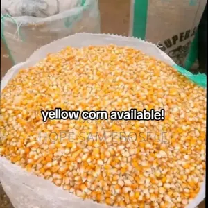 Yellow Bags of Maize