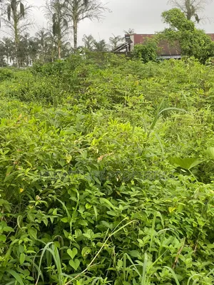 Buy and Build 546SQM Land -High Tension Pole Negotiable for Removal.