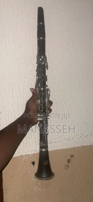 Clarinet Instrument