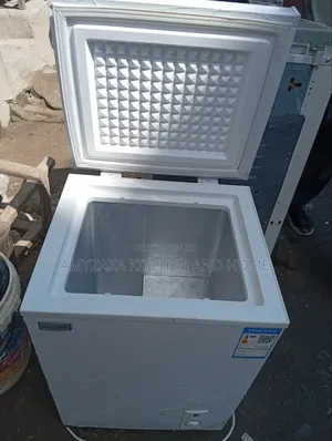 Royalstar 58-Liter Mini Chest Freezer (Model: BD/BC-58A118D).