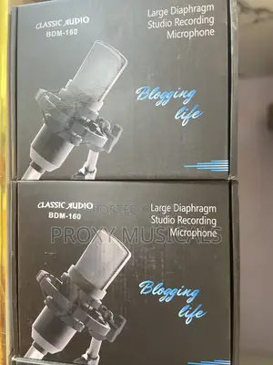 Classic Audio Large Diaphragm Studio Recording Microphone