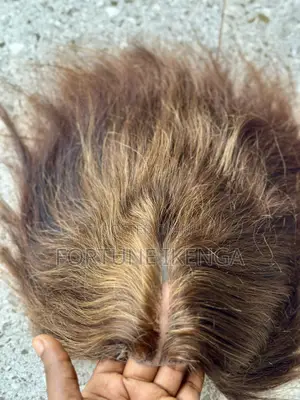 10inches  Human Hair, Neatly Used/ Thrift Hair With 2by4 Closure Dd