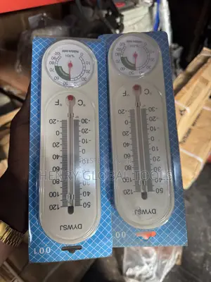 Wall-Mounted Thermometer & Hygrometer – 2-in-1