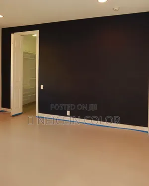 Painter Lifecamp