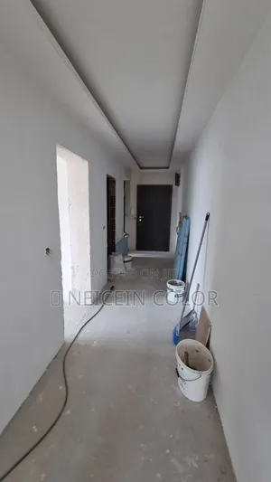 Painter Lifecamp