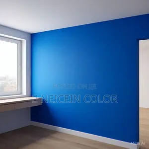 Painter Lifecamp