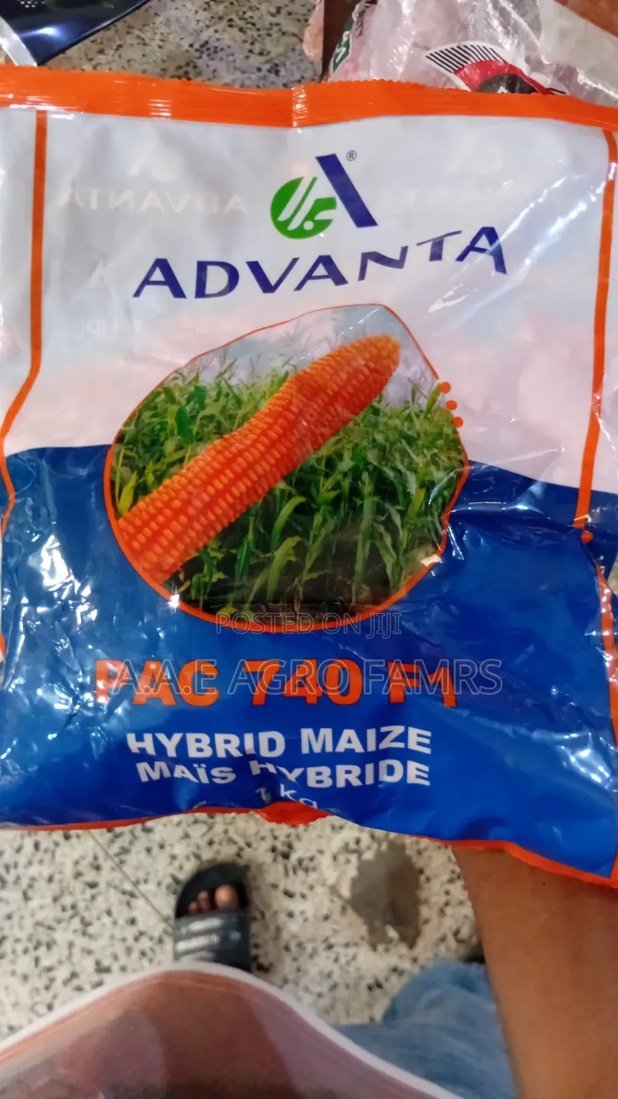 Advanta Maize Seeds