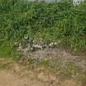 1000sqm Land for Sale in Army Estate Effurun Delta State