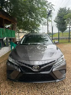 Toyota Camry SE FWD 2020 Brown