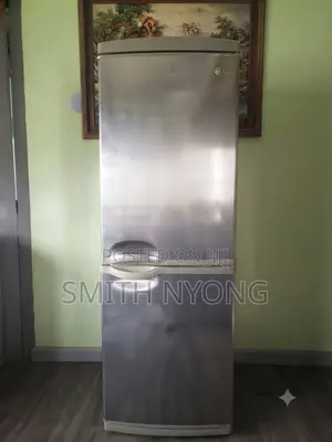 Clean Double Door LG Fridge Fast Ice Blocking Mayne Avenue Calabar Sou