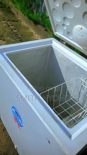 Clean 170 Liters Deep Freezer Fast Ice Blocking Mayne Avenue Calaba