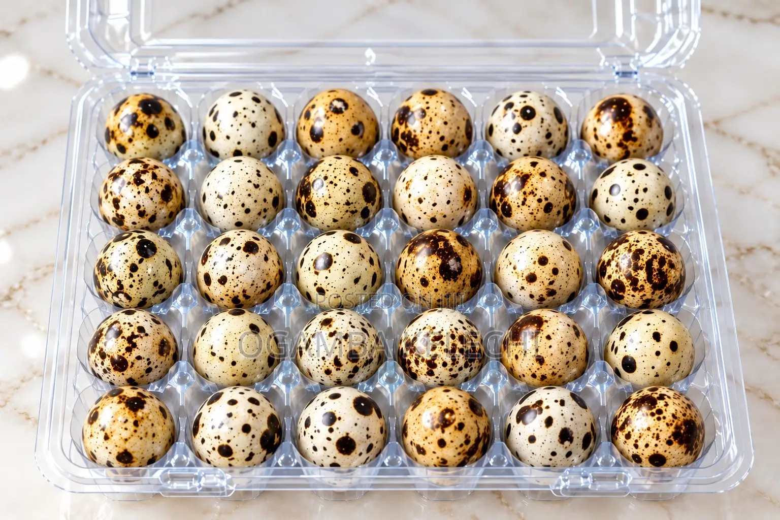Quail Eggs