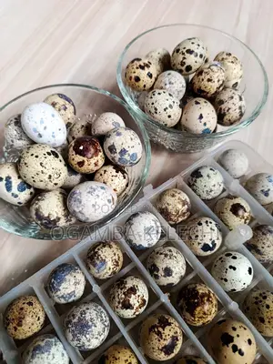 Quail Eggs