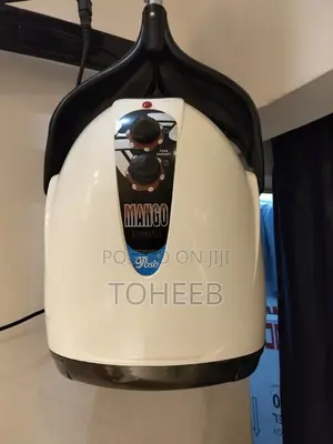 Wall Dryer