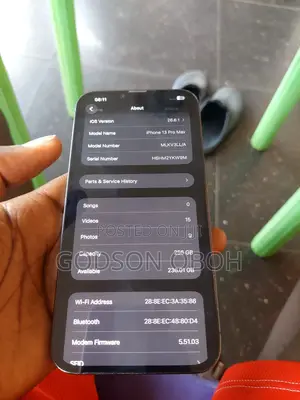 Apple iPhone 13 Pro Max 256 GB Gray