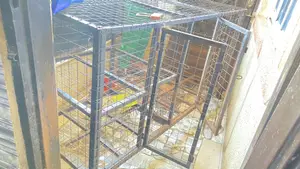 Fairly Used Dog Cage for Sale