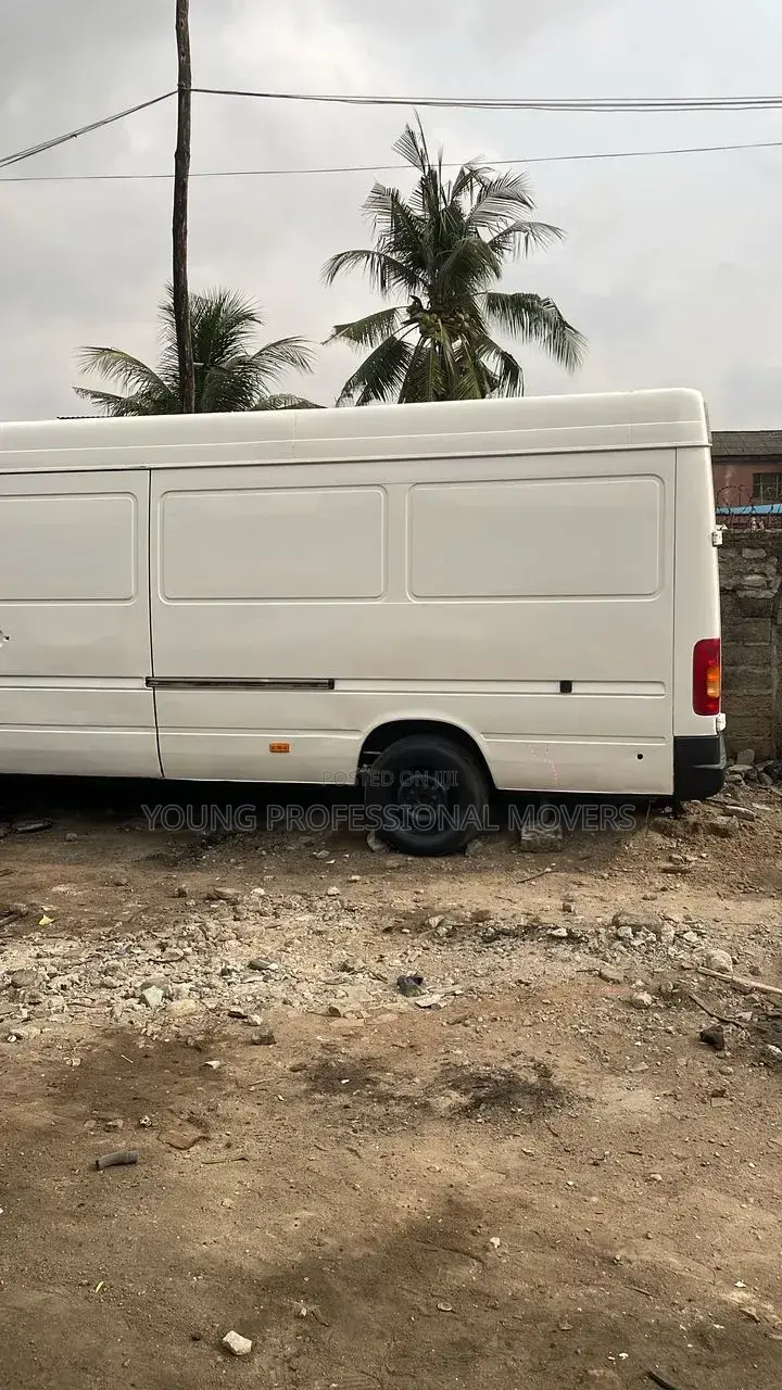 Young Professional Movers