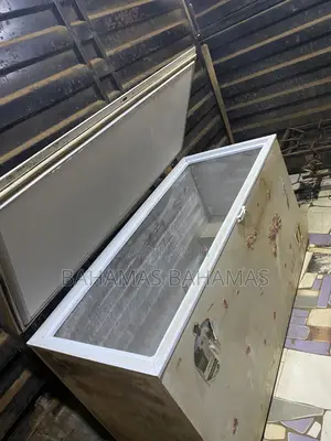 6 Feet Chest Freezer