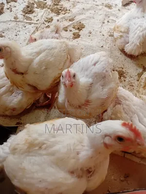 Marthelen Foods
