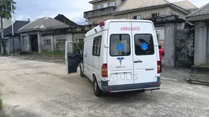 Mercedes-Benz 1420 2010 Off white